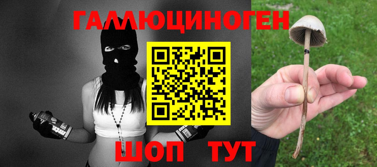 Златоуст  Псилоцибиновые грибы Psilocybine cubensis  Вход с VPN  Псилоцибиновые грибы мухоморы 