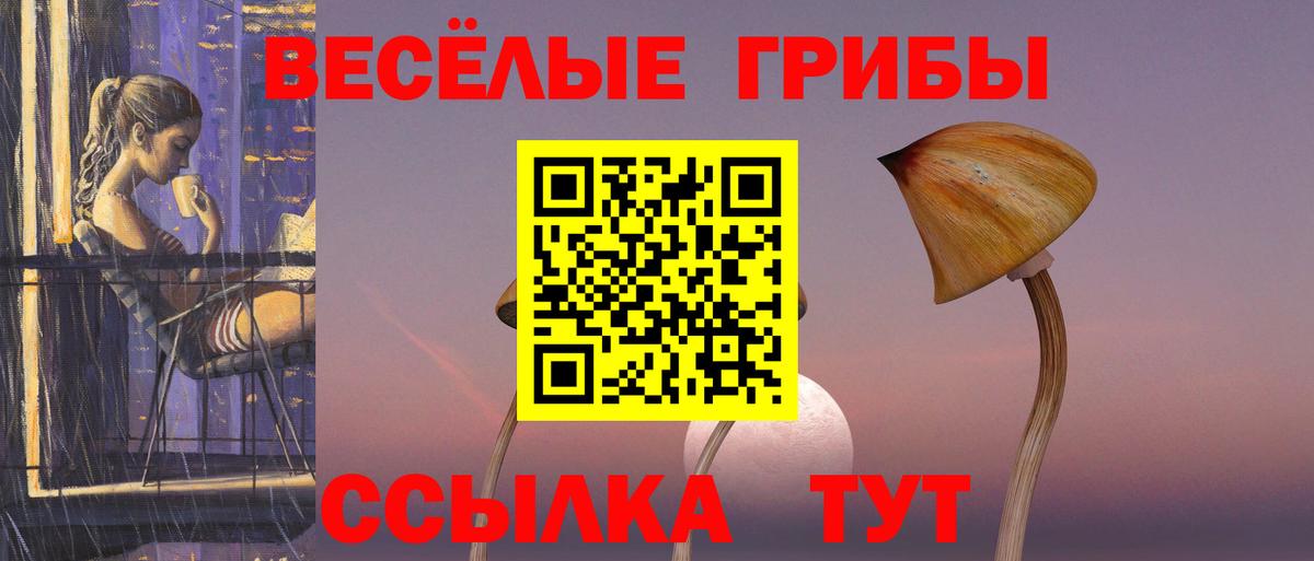 Псилоцибиновые грибы прущие грибы Златоуст
